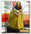 Sri Vana Durga Devi